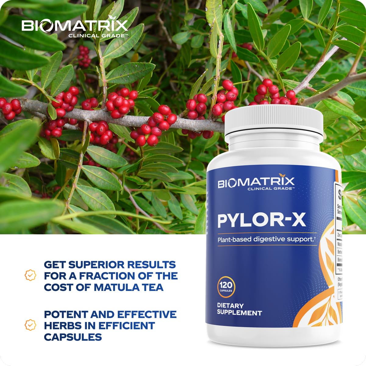 BioMatrix Pylor-X zinc carnosine photo illustrating gastric lining protection