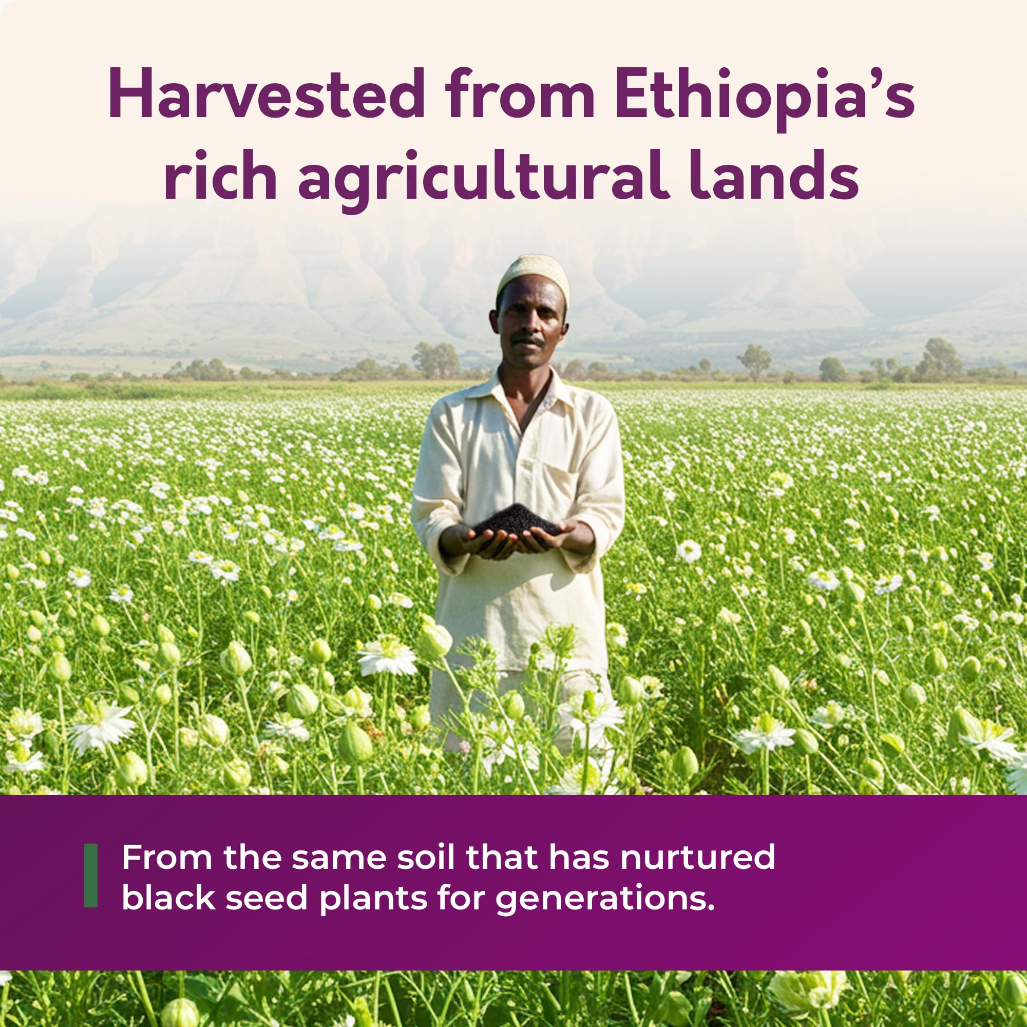 Oil naturally settled for continued nutrient preservation and deeper color