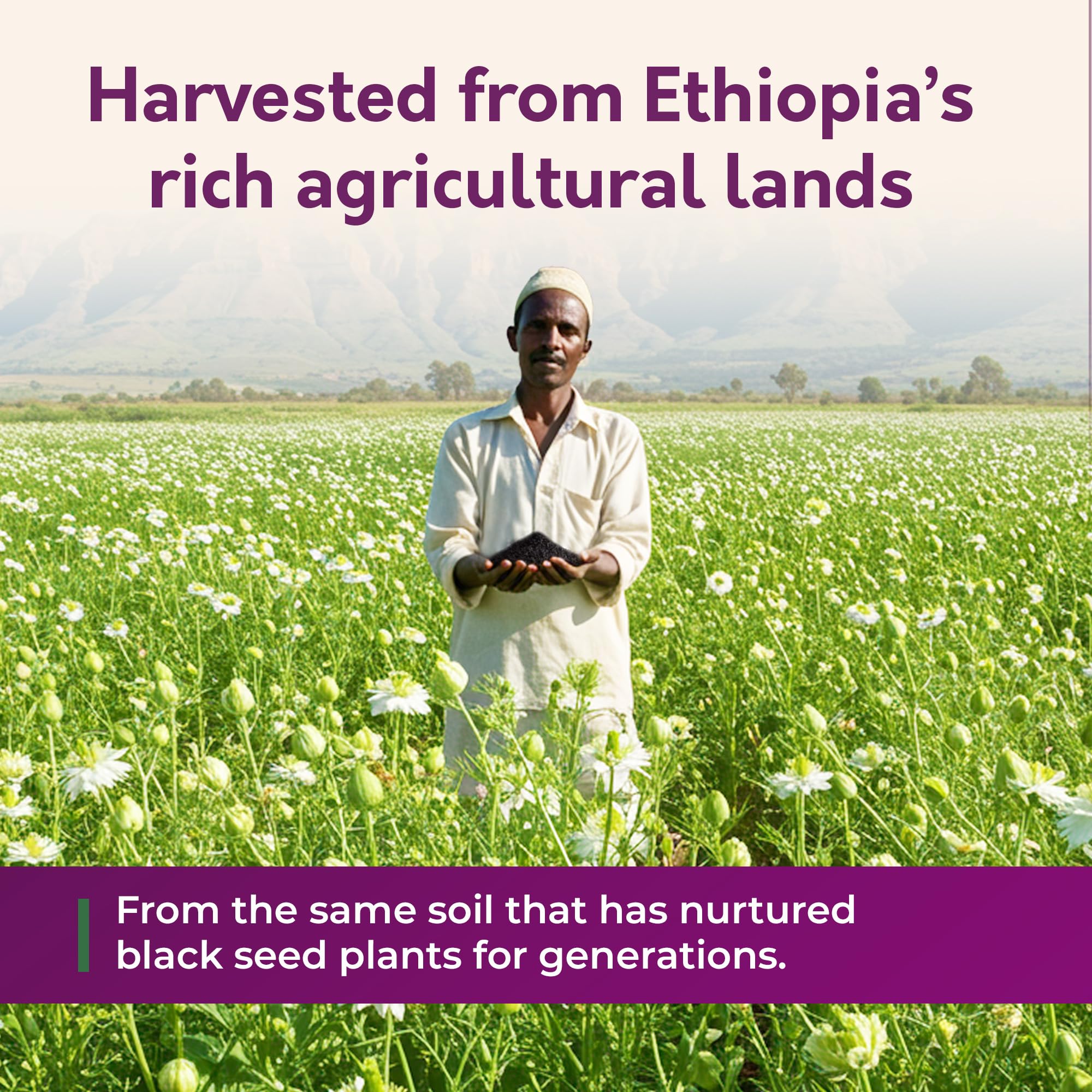 BioNatal fresh crop guarantee supports peak potency and flavor.