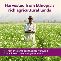 BioNatal fresh crop guarantee supports peak potency and flavor.