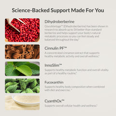 BIOptimizers Berberine Breakthrough daily-use scene shows easy routine for wellness.