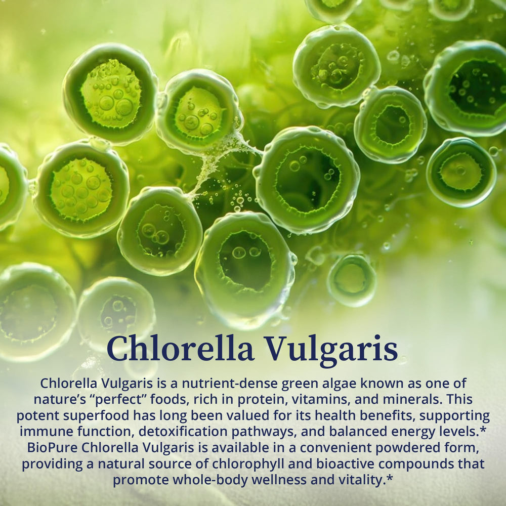 BioPure Chlorella Vulgaris powder beside a glass for ready-to-use daily routine.
