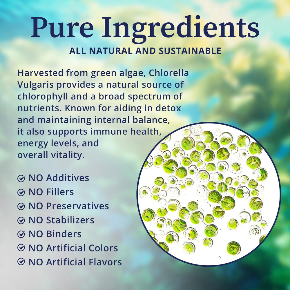 BioPure Chlorella Vulgaris powder in a smoothie bowl for a nutrient-rich meal.