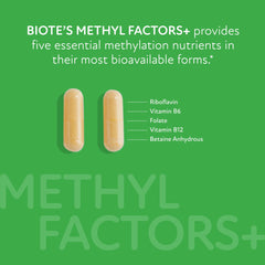 Biote Methyl Factors+ capsules close-up for easy dosing