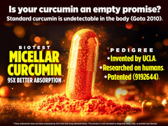 Biotest Micellar Curcumin bottle label detail highlighting patented tech