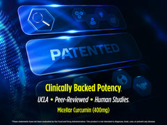 Biotest Micellar Curcumin science patent document conveys credibility