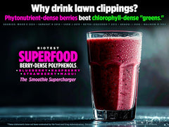 Biotest Superfood berry-closeup highlighting real fruit ingredients.
