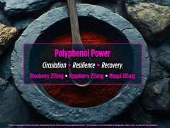 Biotest Superfood packaging-outer with clean-label polyphenols.
