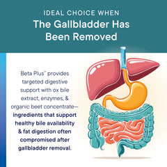 BIOTICS RESEARCH Beta-Plus beet concentrate highlights organic whole beet for digestive balance