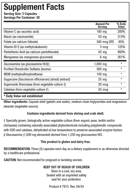 Biotics Research ChondroSamine Plus capsules close-up showing dosage