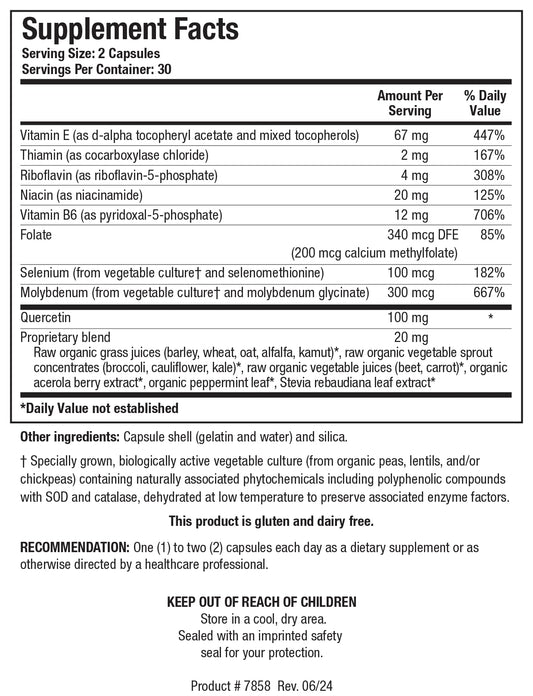 Biotics Research TolerAid capsules closeup for daily supplementation