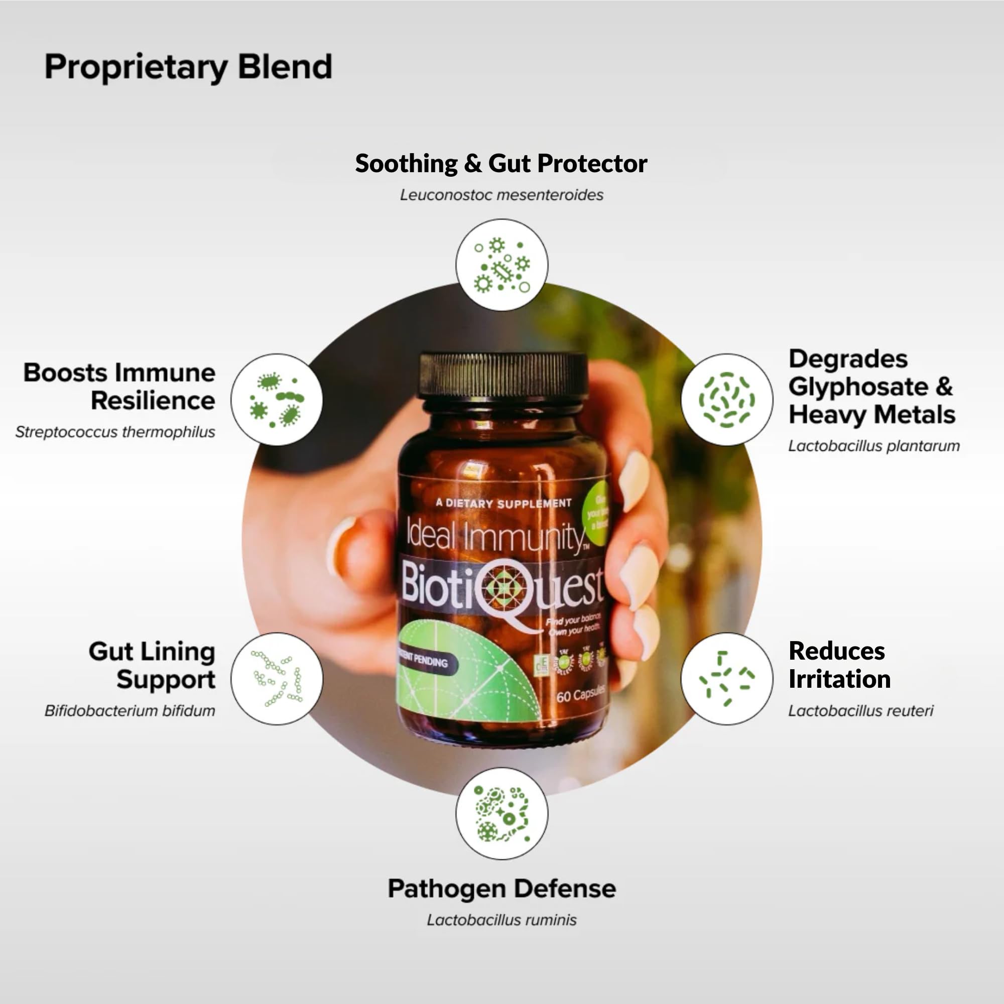 Label detail emphasizing 60 capsules and vegan probiotic blend