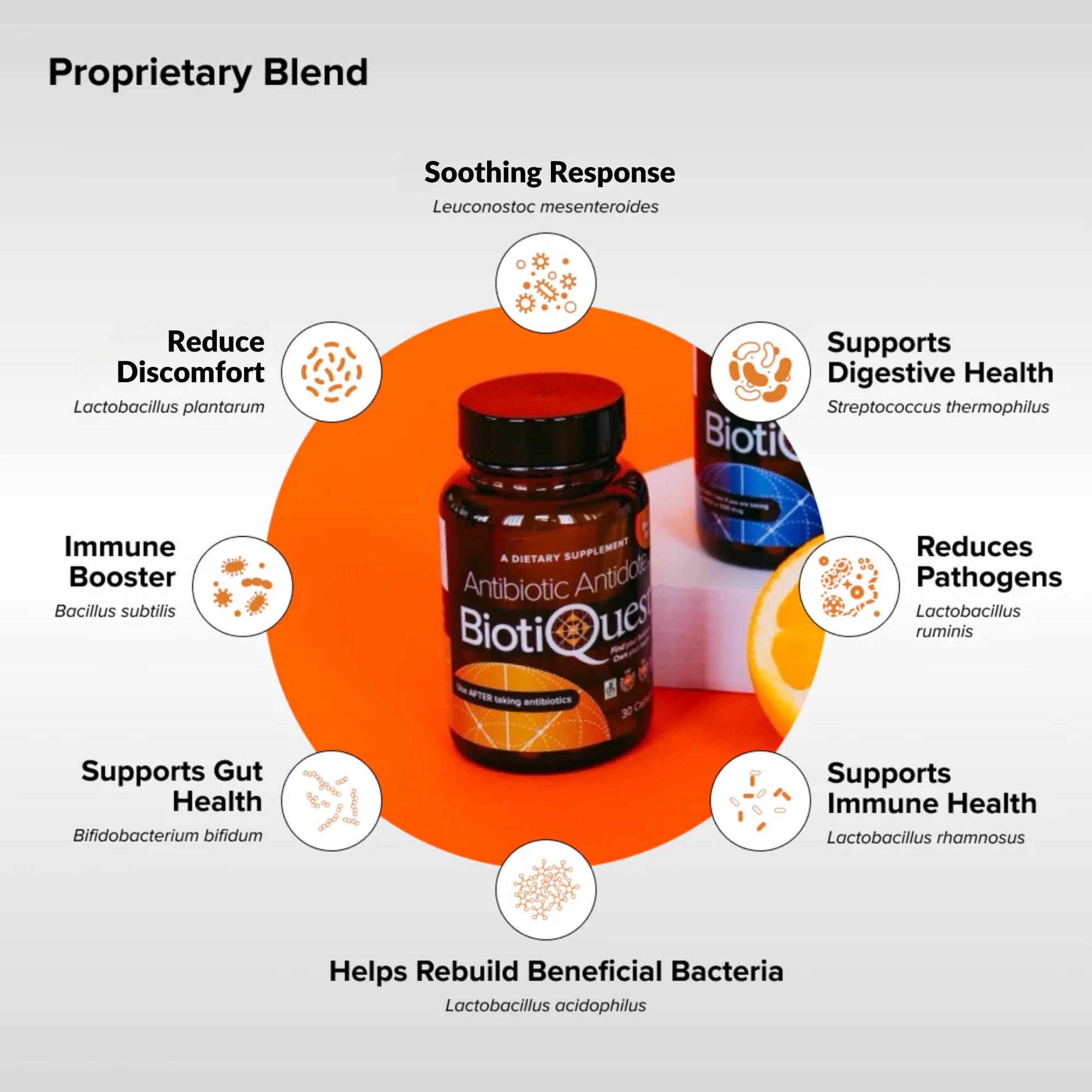 BiotiQuest label ingredients showing non GMO gluten free formulation