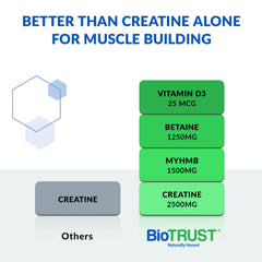 BioTrust Ageless Muscle scoop on lid enabling easy daily dosing