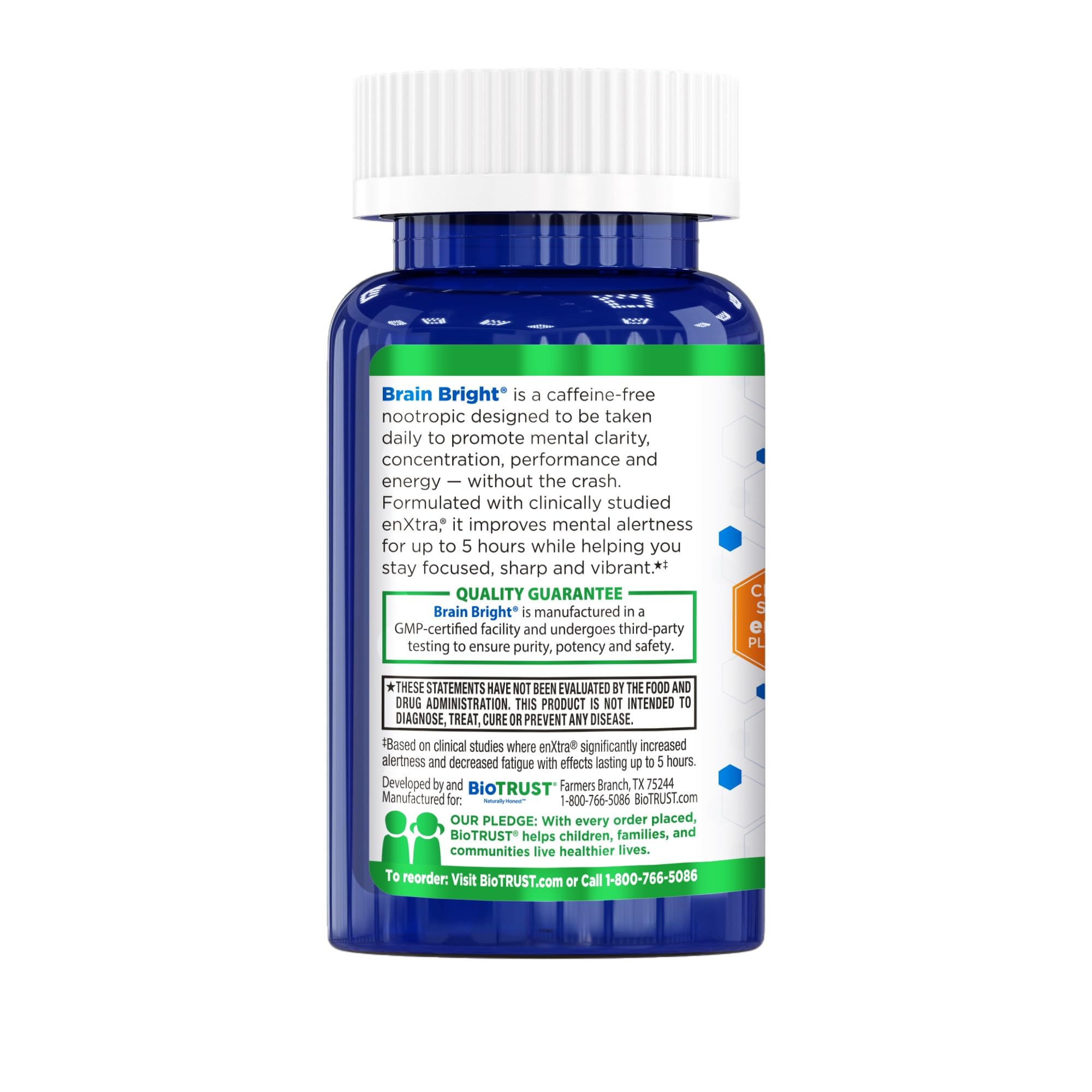 Study-focused Brain Bright icon highlighting cognitive support benefits.