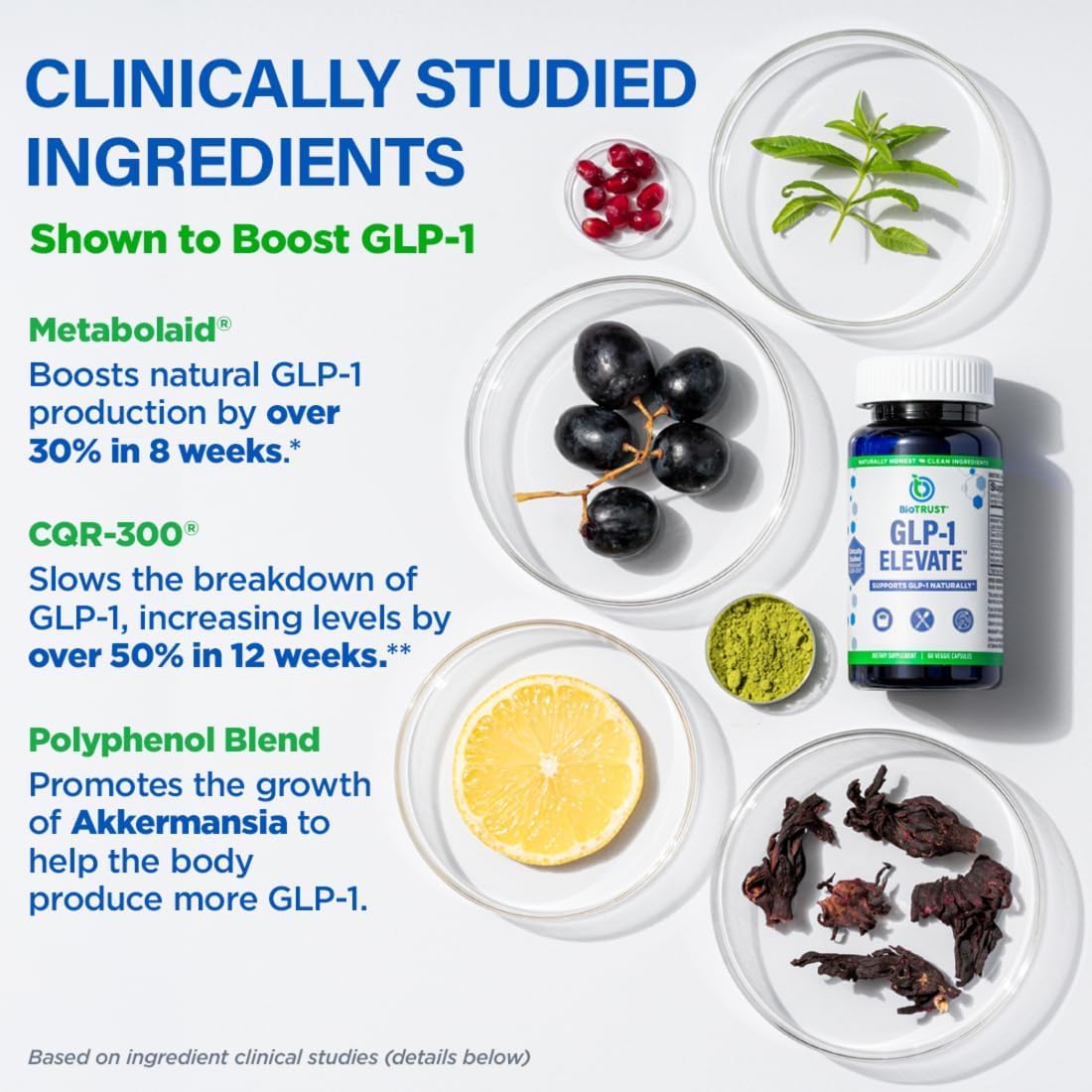 BioTrust GLP-1 Elevate bottle in hand for daily use