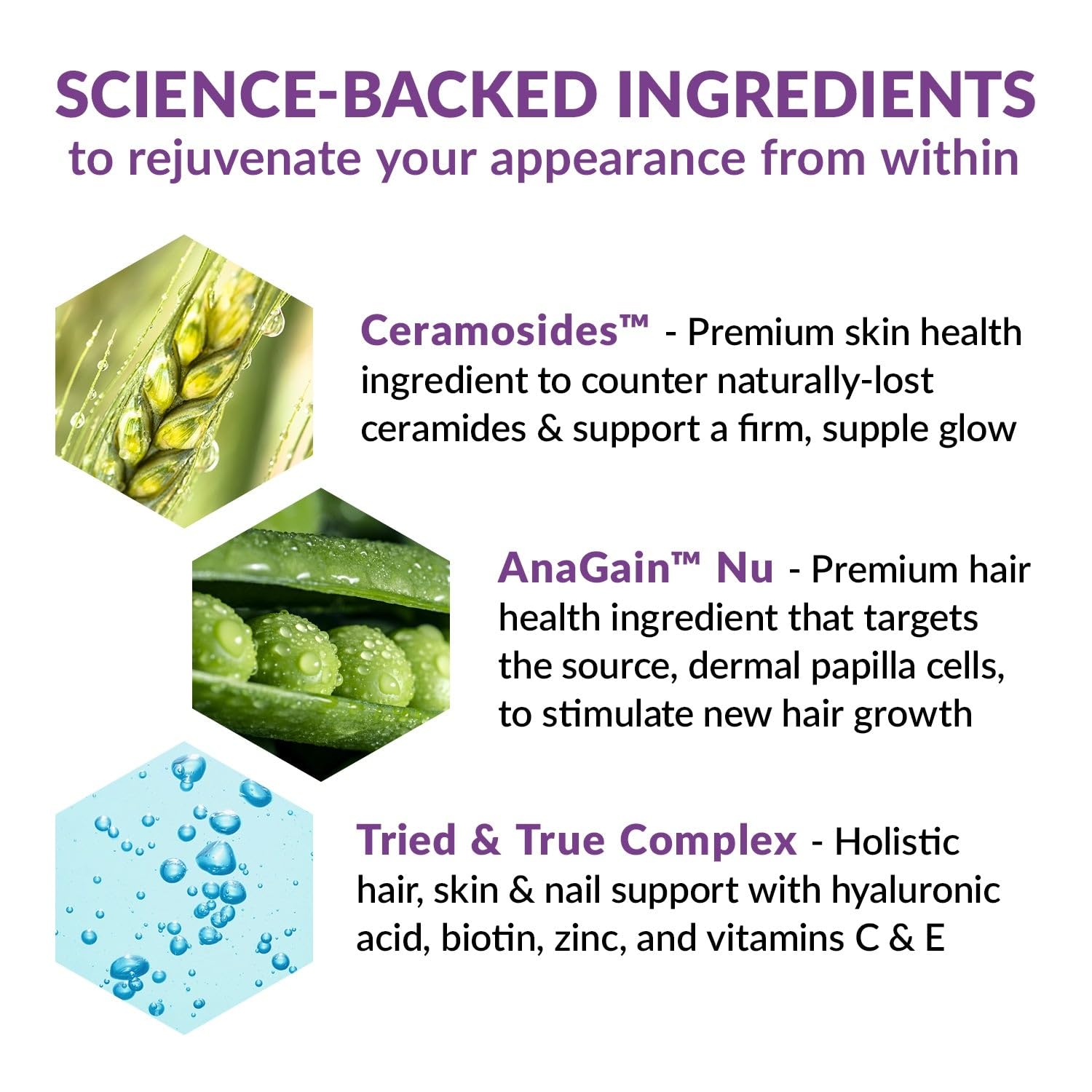 BioTrust Timeless Beauty capsules closeup emphasizing daily nourishment.