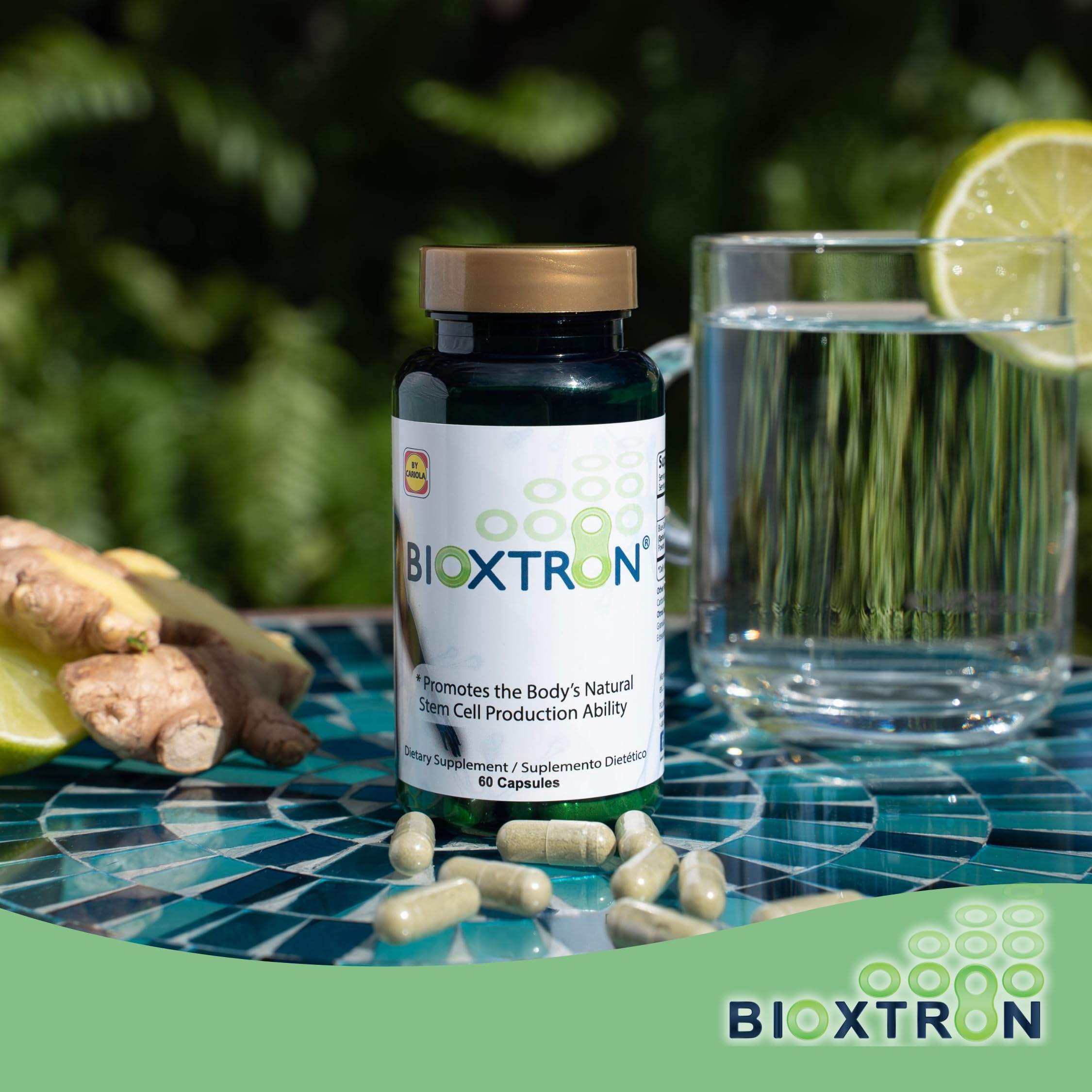 Ingredients visual for Bioxtron natural AFA stem cell supplement