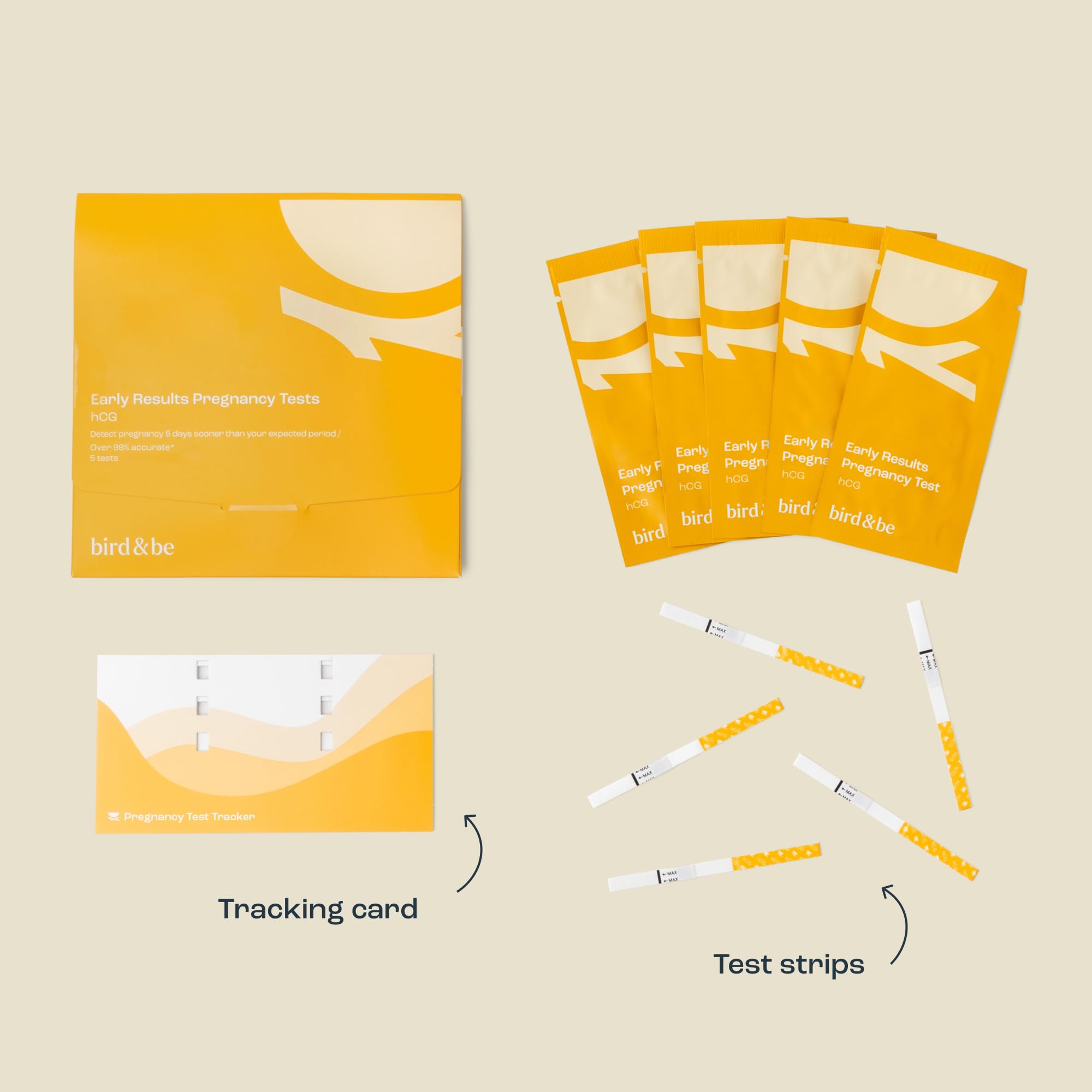 Bird&Be test strip dipping action for easy at-home use.