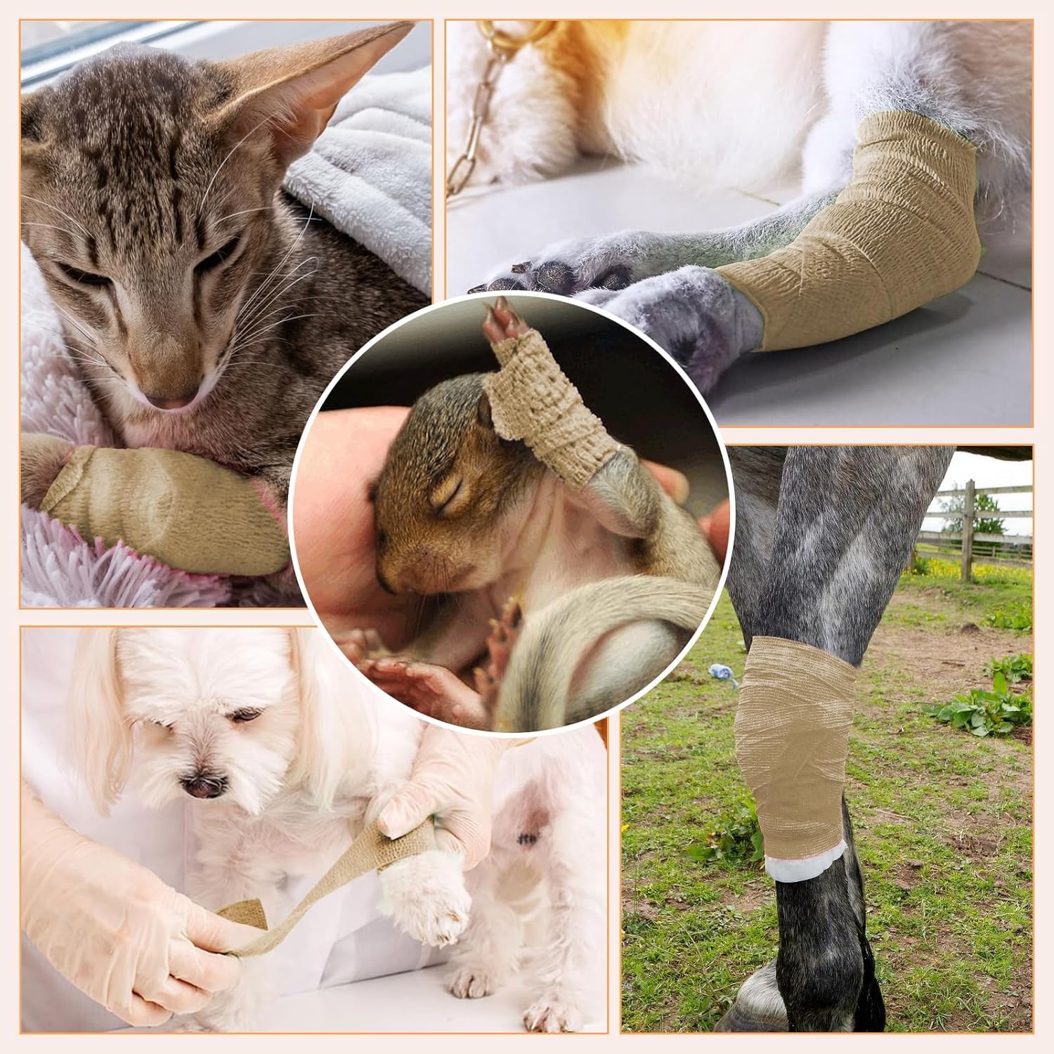 BIRDDIE ankle wrap demonstrates versatile body part coverage