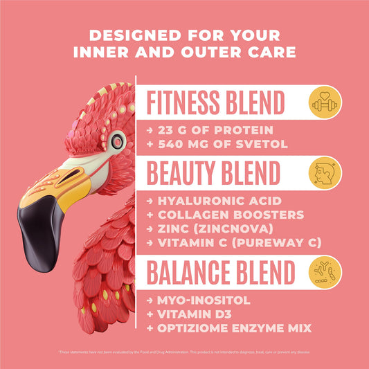 Birdman Fitmingo scoop highlights plant-based protein for quick shakes.