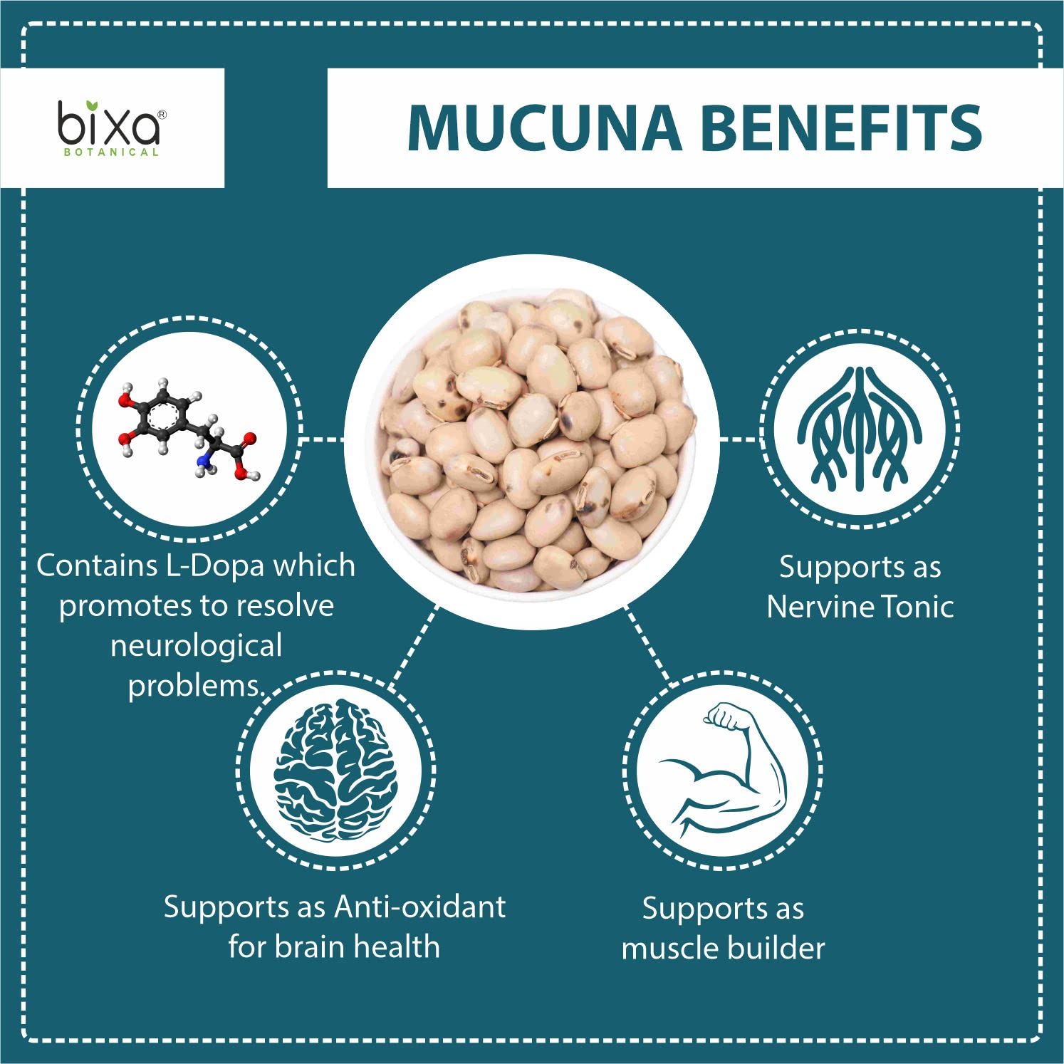 bixa BOTANICAL Mucuna Pruriens Powder | Velvet Bean | Kapikacchu | Kaunch Beej | Ayurvedic Energy Booster | 1 lb | Gluten Free, Non-GMO, Steam Treated, Vegan