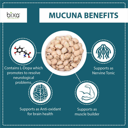 bixa BOTANICAL Mucuna Pruriens Powder | Velvet Bean | Kapikacchu | Kaunch Beej | Ayurvedic Energy Booster | 1 lb | Gluten Free, Non-GMO, Steam Treated, Vegan