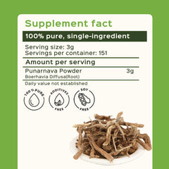 Measuring Punarnava powder with a spoon for precise dosage.