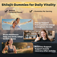 BIYODE Shilajit Gummies with aloe and ghokulu for overall vitality
