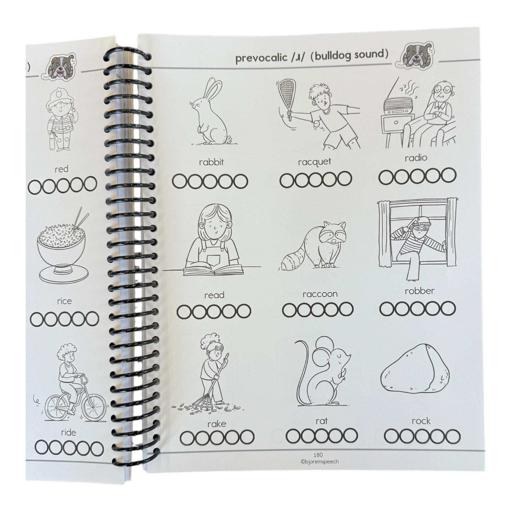 Bjorem Speech Box of Sounds in a Book data sheets and stories for practice
