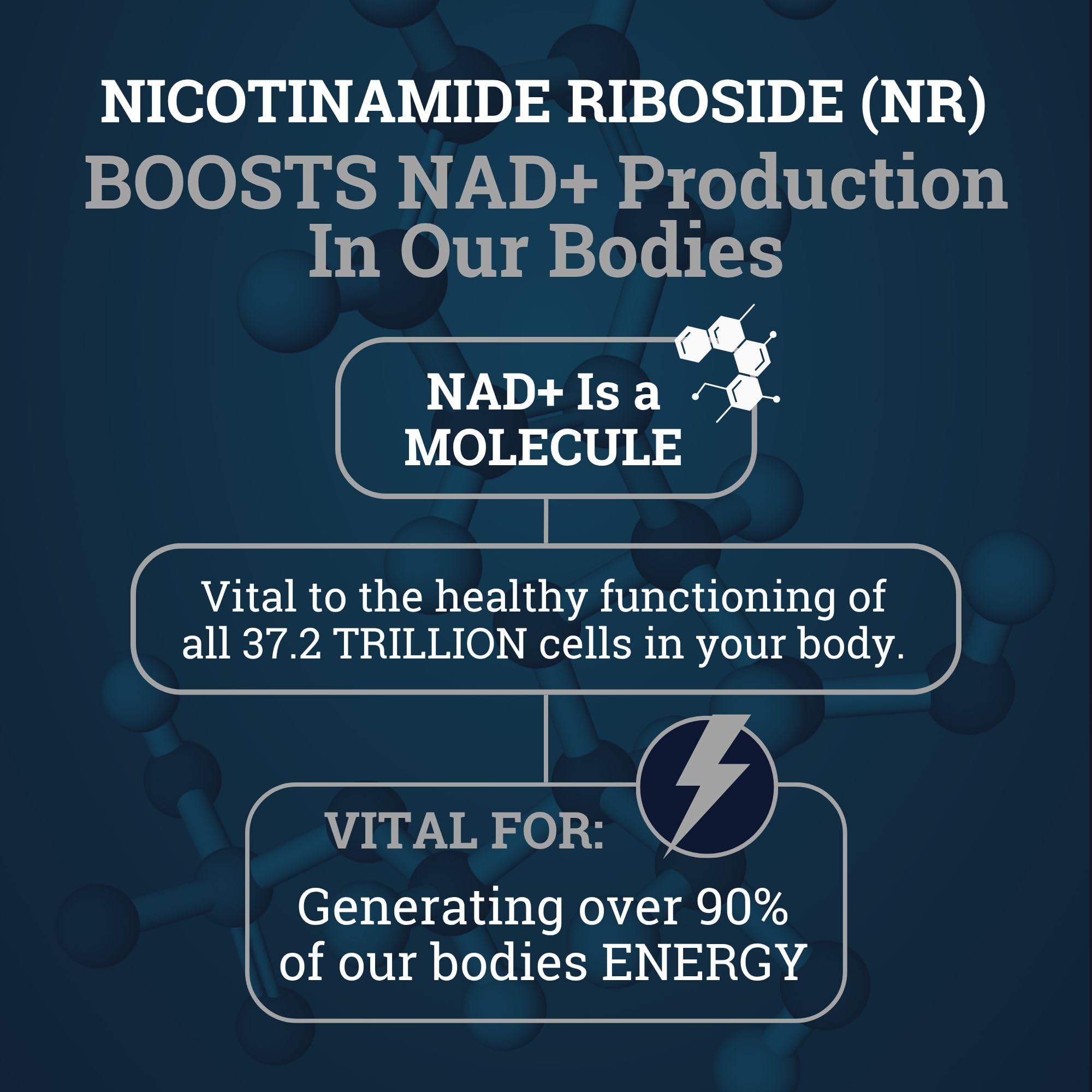 Graphic of Black Forest NAD ingredients emphasizing NR, Quercetin, and Resveratrol.