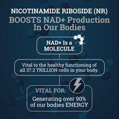 Graphic of Black Forest NAD ingredients emphasizing NR, Quercetin, and Resveratrol.