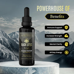 Black Lotus Shilajit Fulvic-acid profile highlights minerals for immune-friendly nutrition.