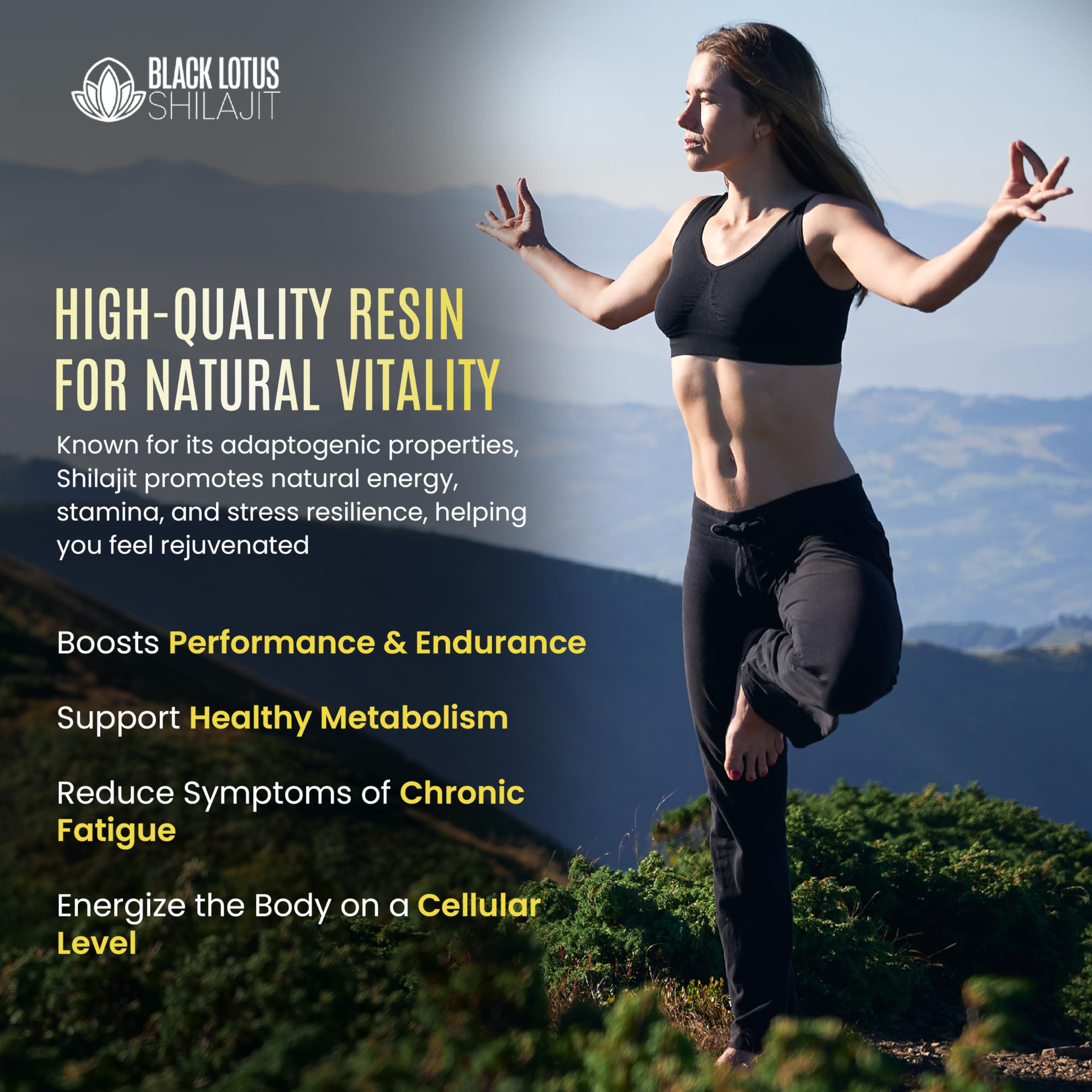 Black Lotus Shilajit Resin packs 85 ionic minerals per serving