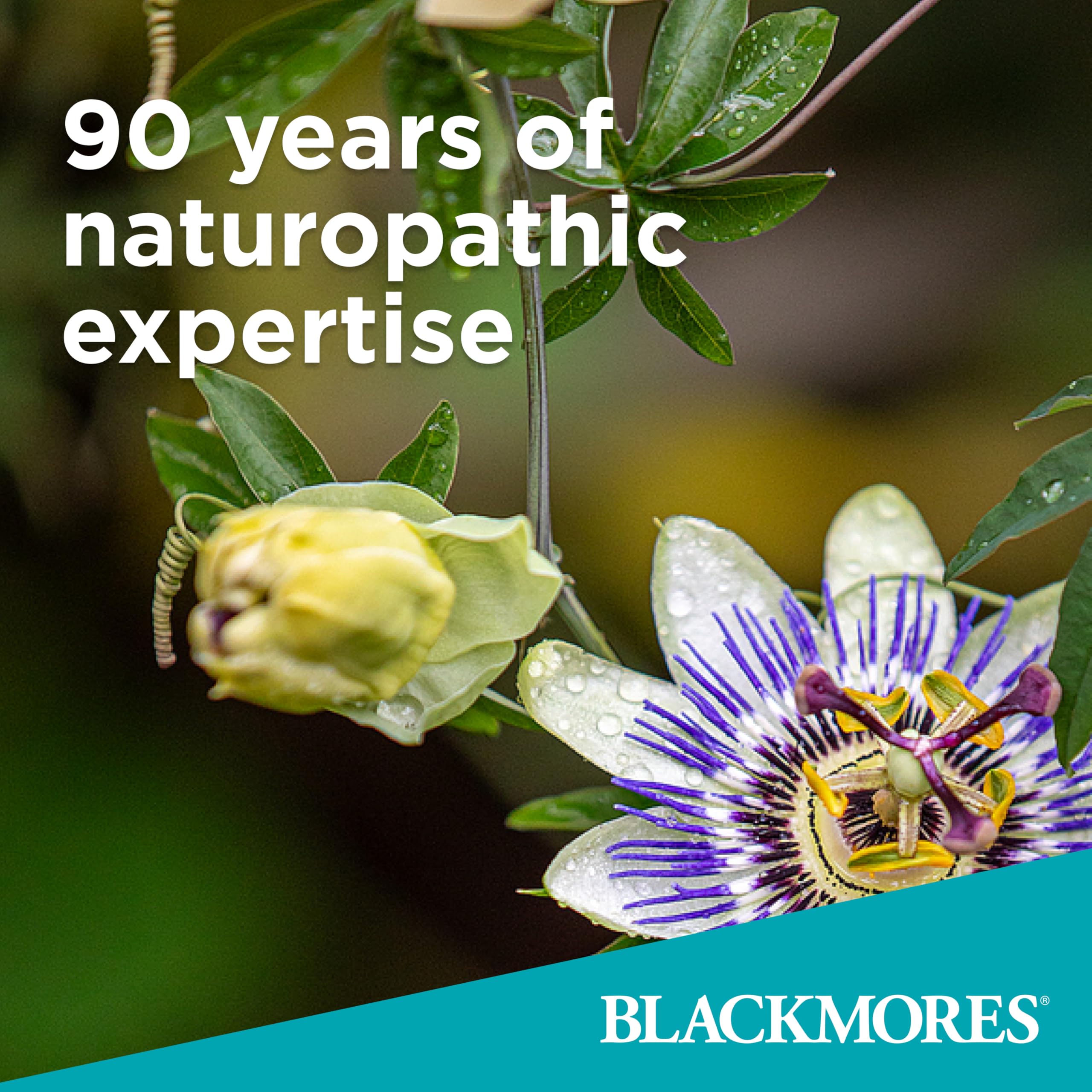 Blackmores Probiotics+ Daily Health imagery suggests digestive comfort after meals.