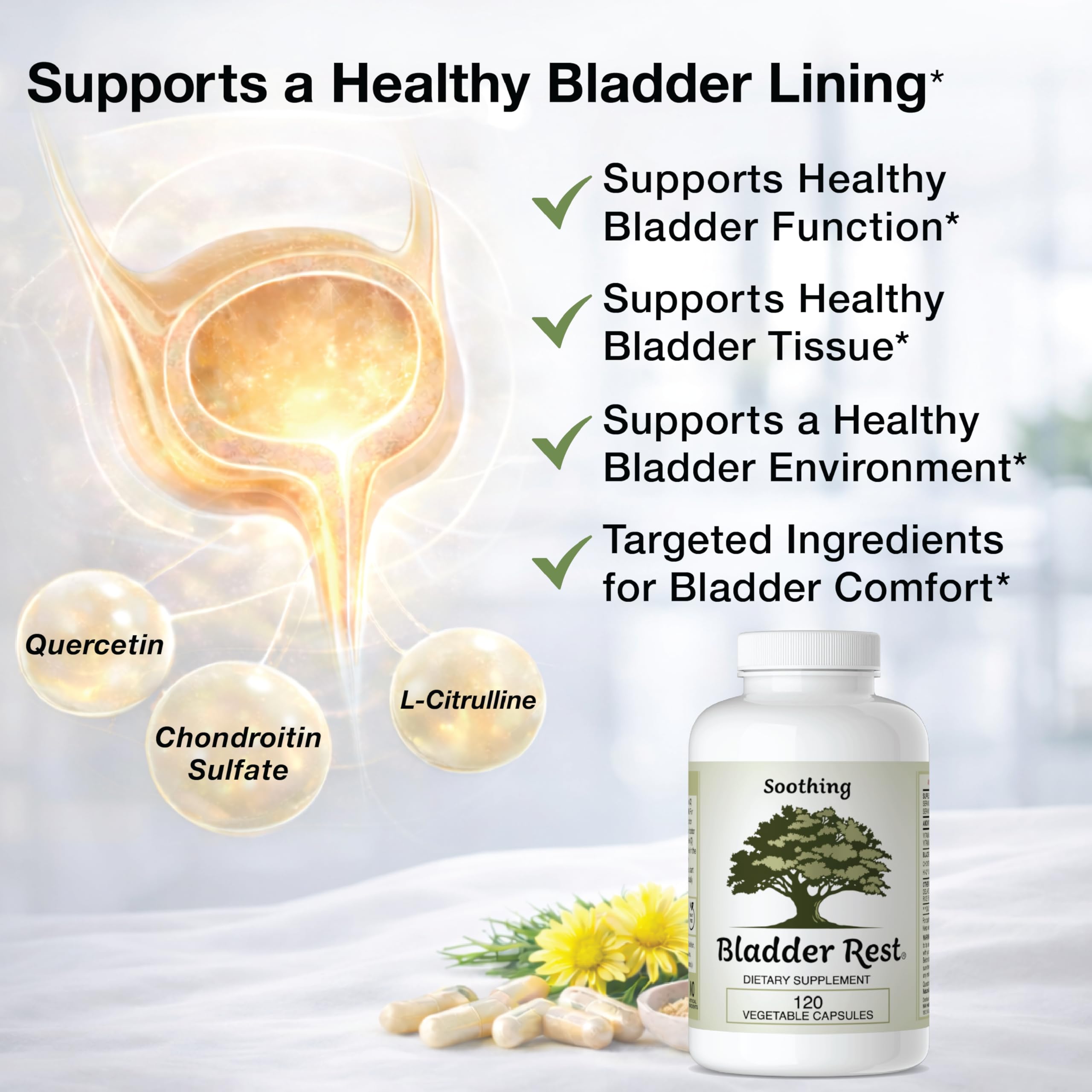 Bladder Rest quercetin phytosome graphic illustrating enhanced absorption potential.