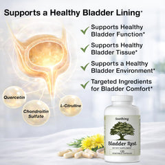 Bladder Rest quercetin phytosome graphic illustrating enhanced absorption potential.
