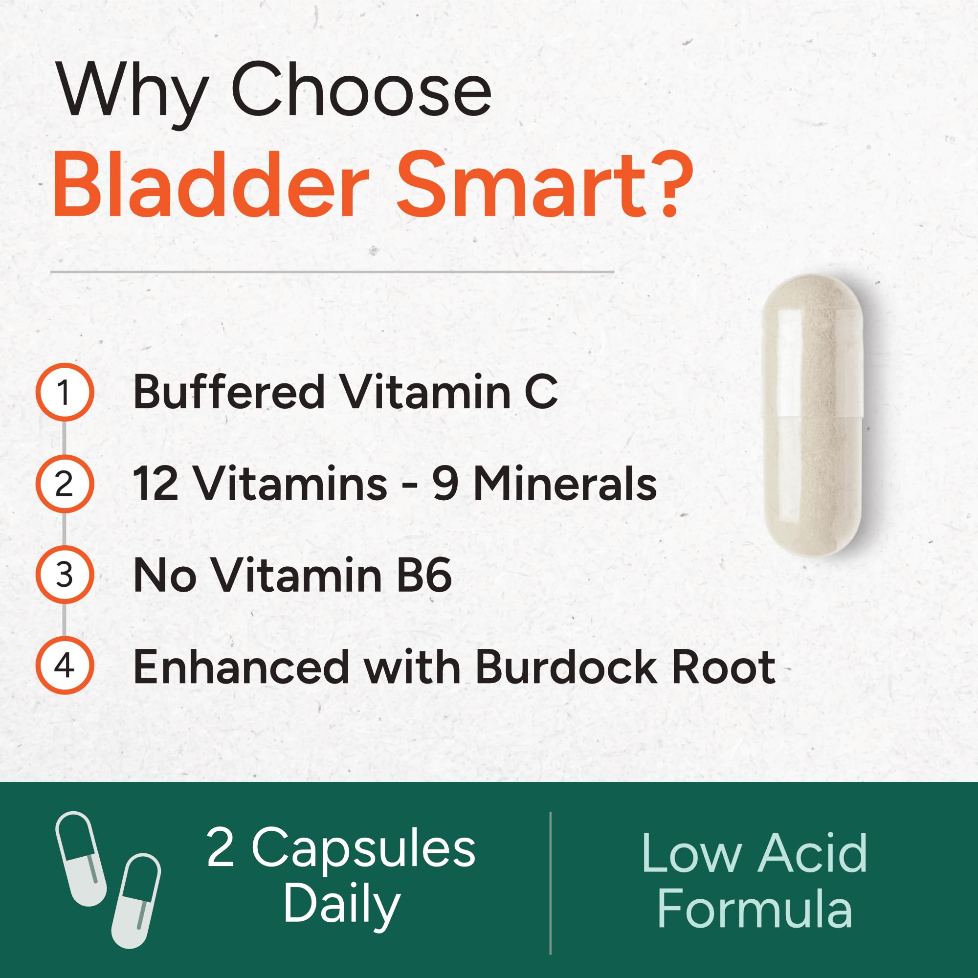 BLADDER SMART burdock root ingredient for added daily wellness