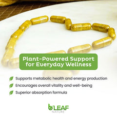 B’Leaf Nature Berberine Phytosome plant-based formula concept art.
