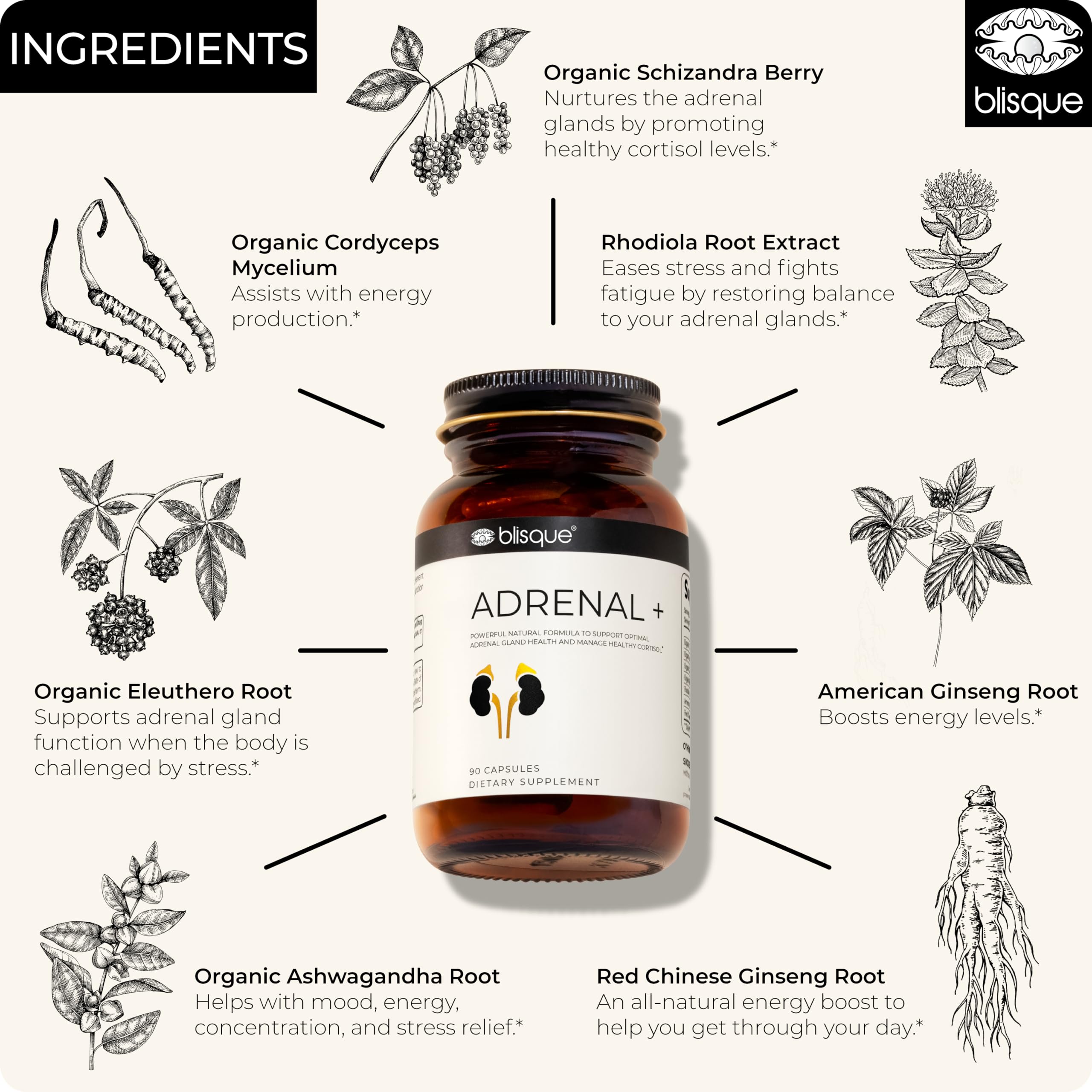 Blisque Adrenal + ashwagandha and eleuthero close-up for balanced energy