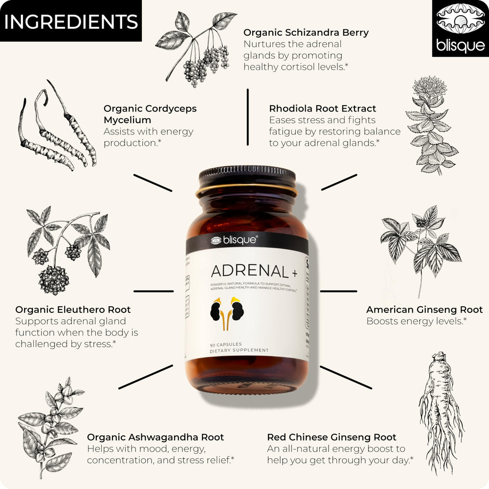 Blisque Adrenal + ashwagandha and eleuthero close-up for balanced energy