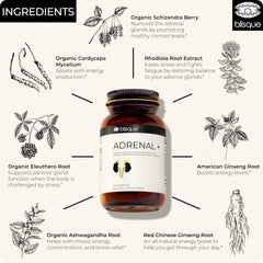 Blisque Adrenal + ashwagandha and eleuthero close-up for balanced energy