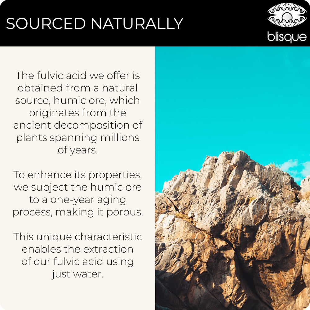  infographic-style element illustrating electrolyte support from Blisque