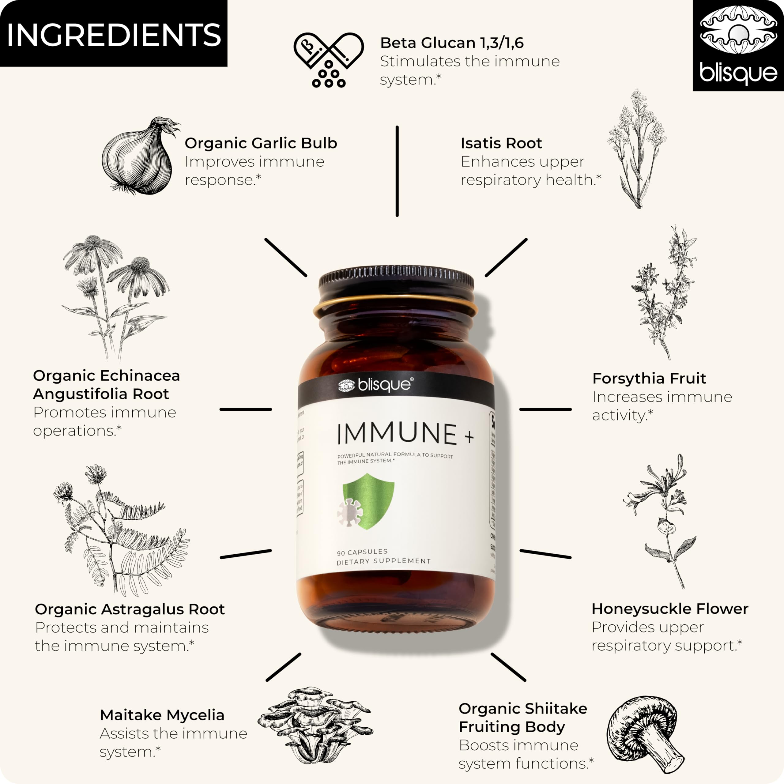 Blisque herbal blend ingredients showcase astragalus, echinacea and garlic