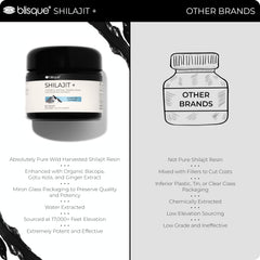 Blisque shilajit resin with ginger extract suggesting balanced absorption.