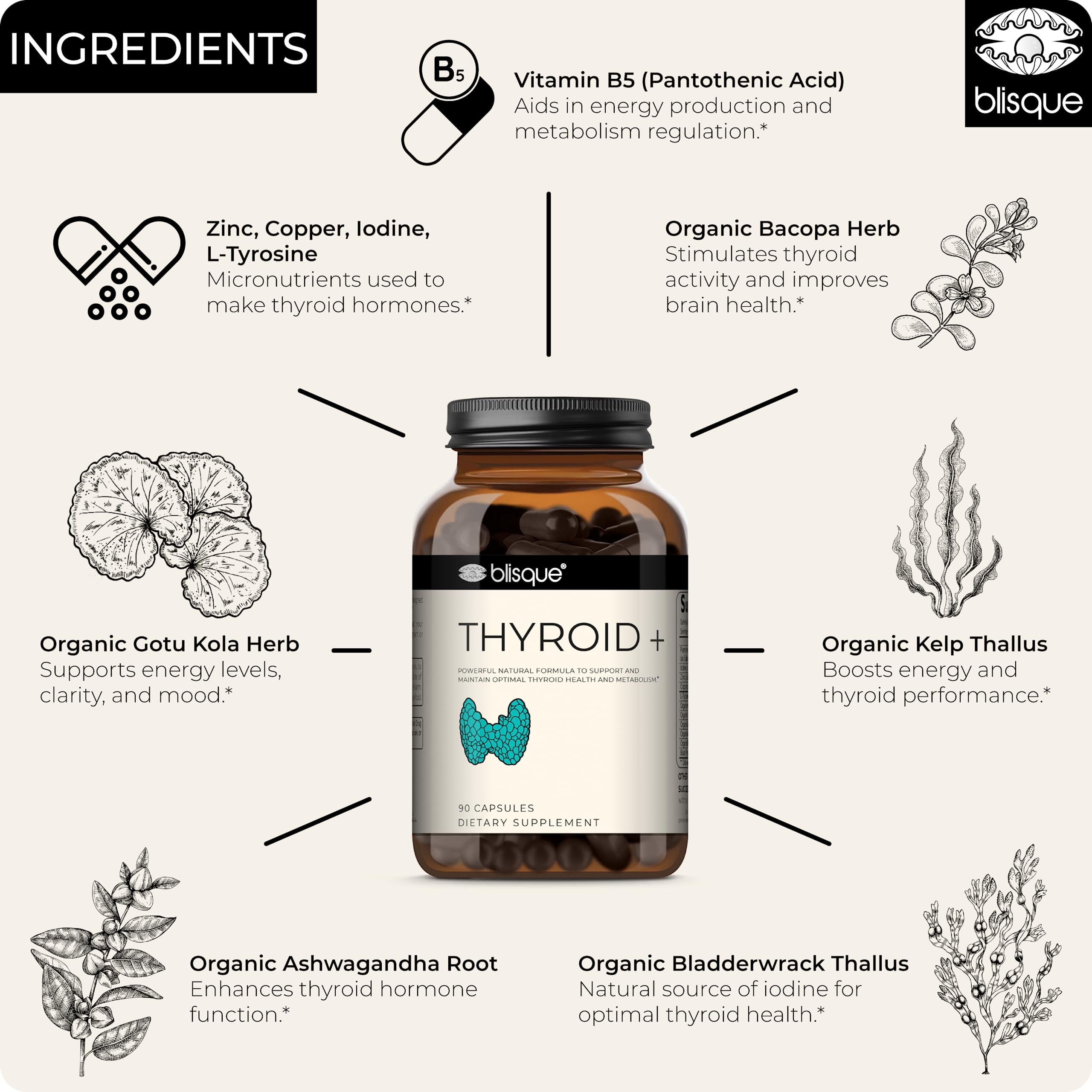Blisque Thyroid Support zinc capsules—essential trace mineral for balance.