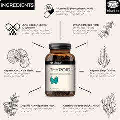 Blisque Thyroid Support zinc capsules—essential trace mineral for balance.