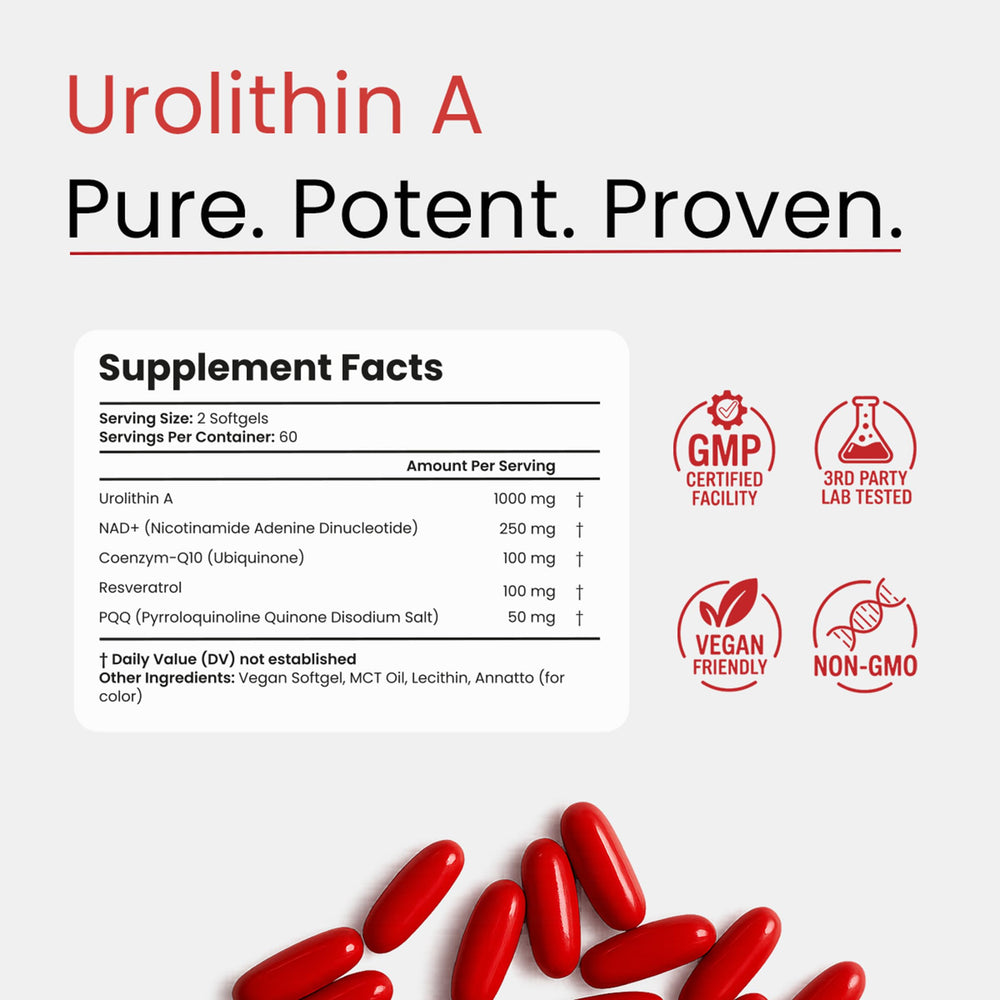 Bloomeo Urolithin A softgels in blister pack supporting daily energy.