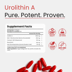 Bloomeo Urolithin A softgels in blister pack supporting daily energy.
