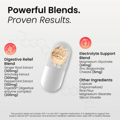BloomMD B12 energy support visual highlighting steady energy potential
